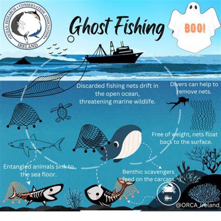 What are the effects of ghost fishing?