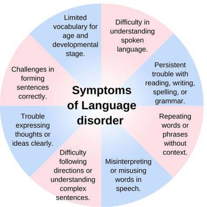 What are the effects of language disorder?