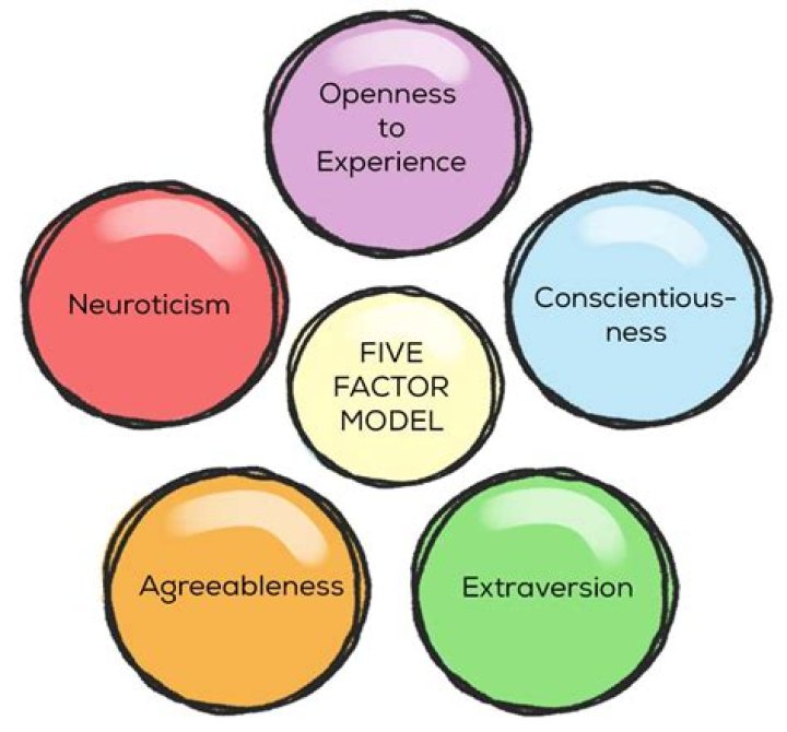 What are the five steps of counseling under trait and factor theory?