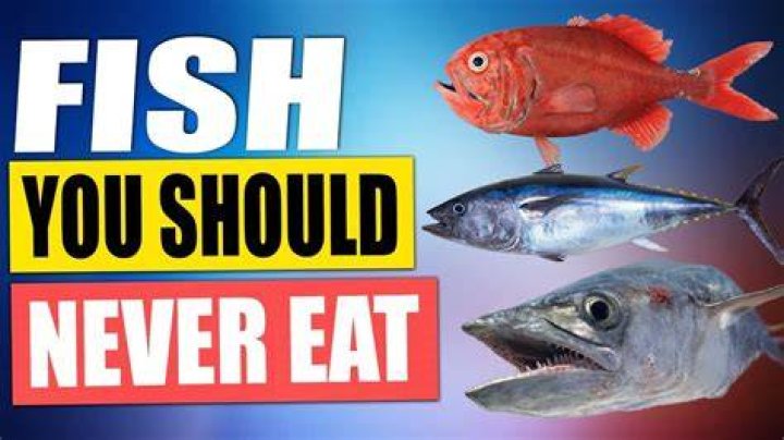 What are the four fish that should never be eaten?
