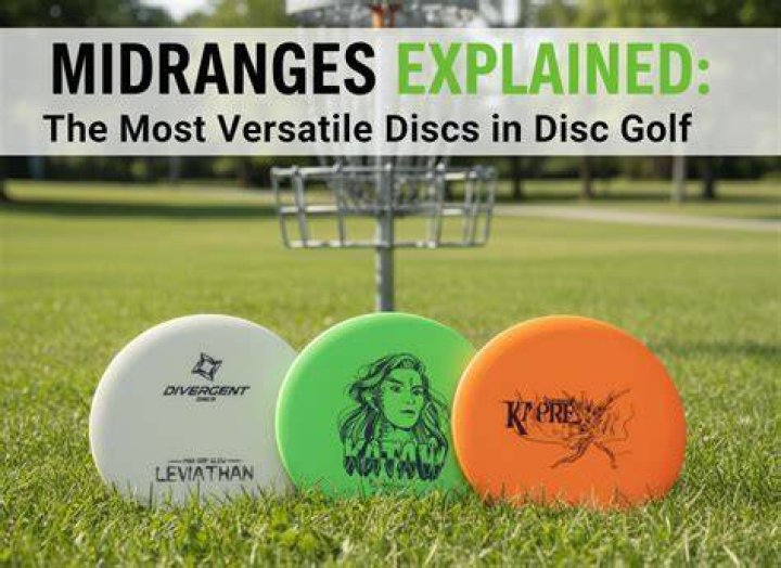What are the most common discs used in disc golf?