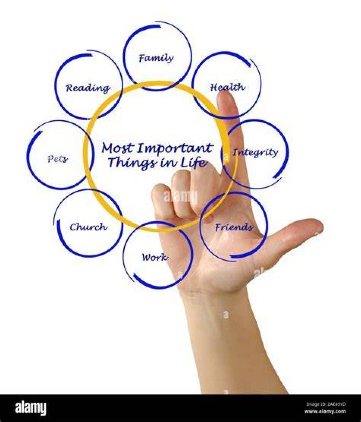 What are the most important things in the kitchen?