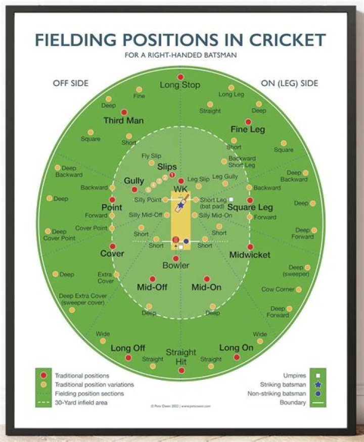 What are the names of the fielding positions in cricket?