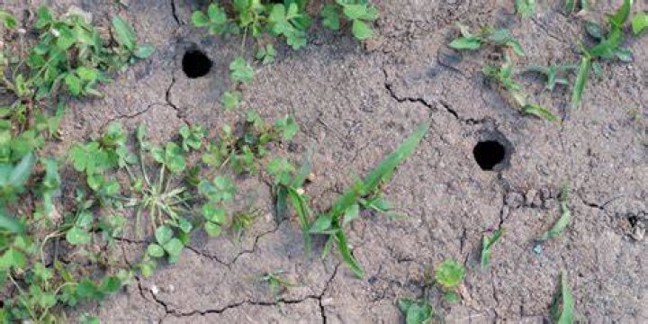 What are the odds of getting two holes-in-one?
