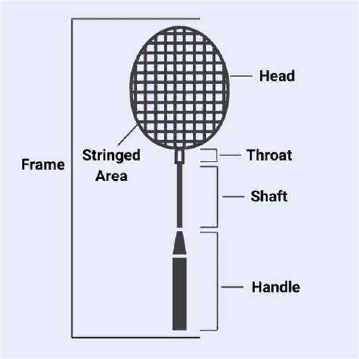 What are the parts of badminton racket and shuttlecock?