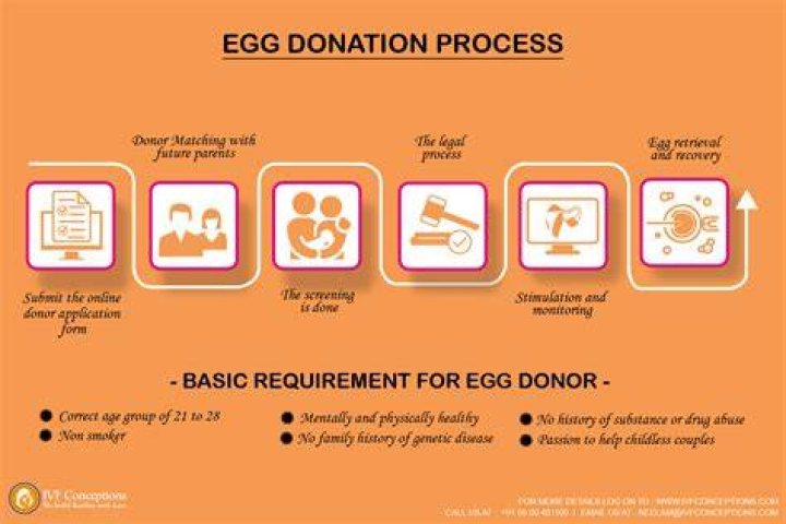 What are the risks of egg donation?