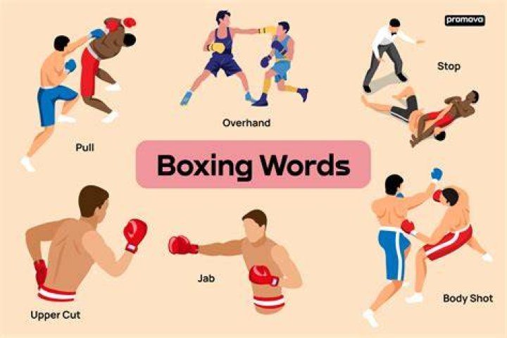 What are the rules of boxing?