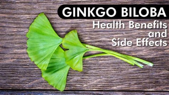 What are the side effects of ginkgo biloba?