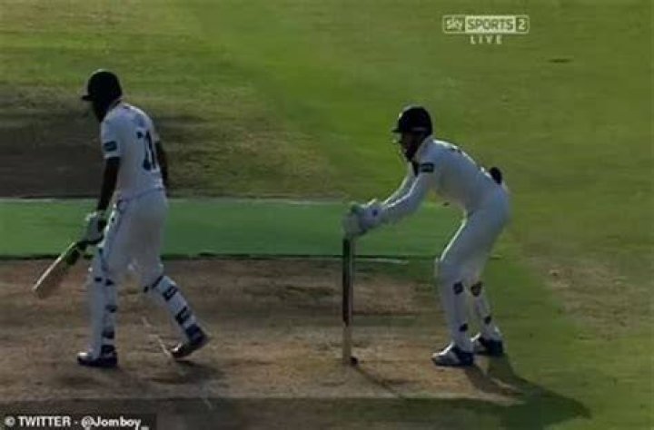 What are the sticks behind the batter in cricket?