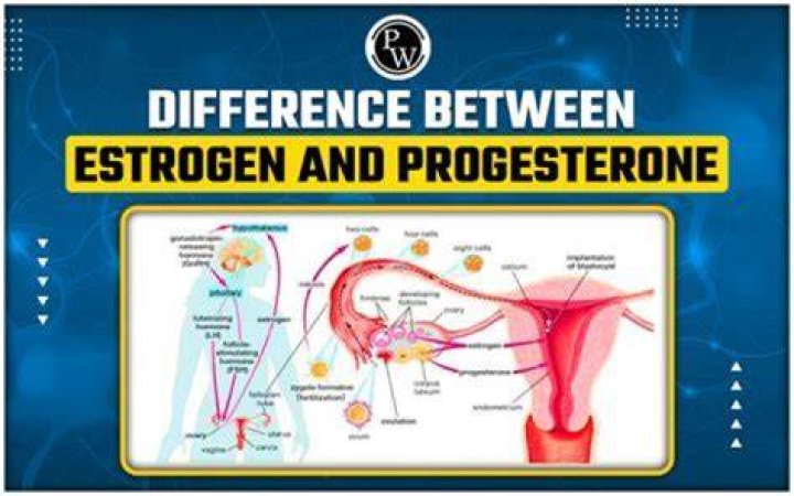 What are the symptoms of high estrogen and low progesterone?