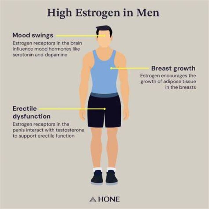 What are the symptoms of high estrogen levels?