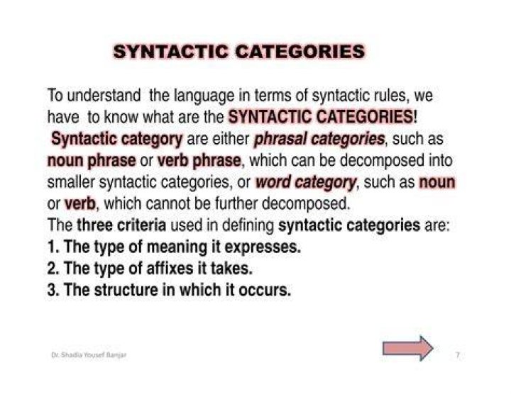 What are the two syntactic categories?