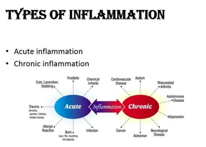 What are the two types of inflammation?