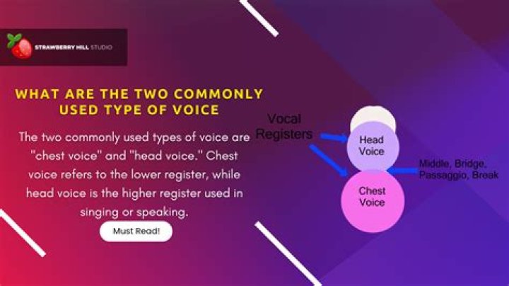 What are the two types of voice?
