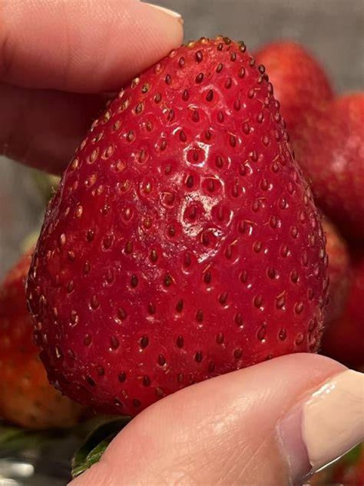 What are the white hairs on strawberries?
