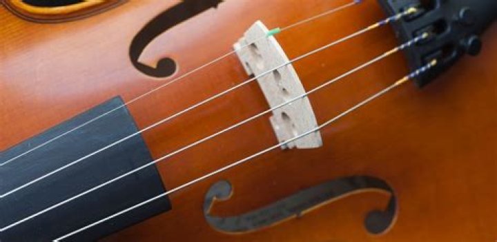 What are violin strings made of pig?