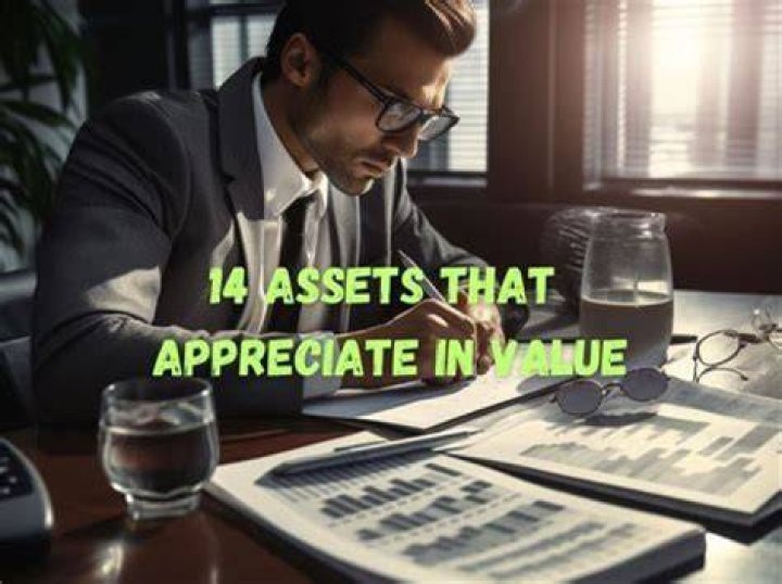 What assets dont lose value?
