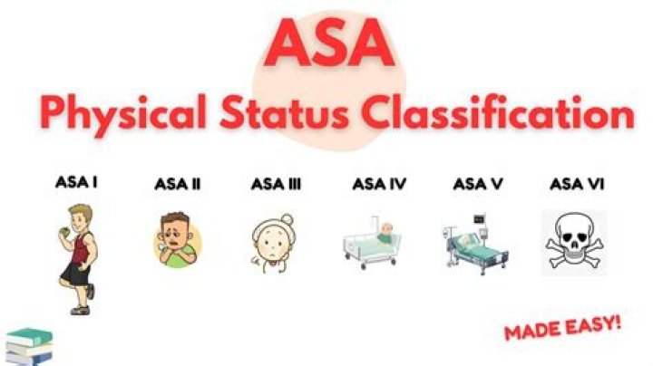 What bats are ASA approved?