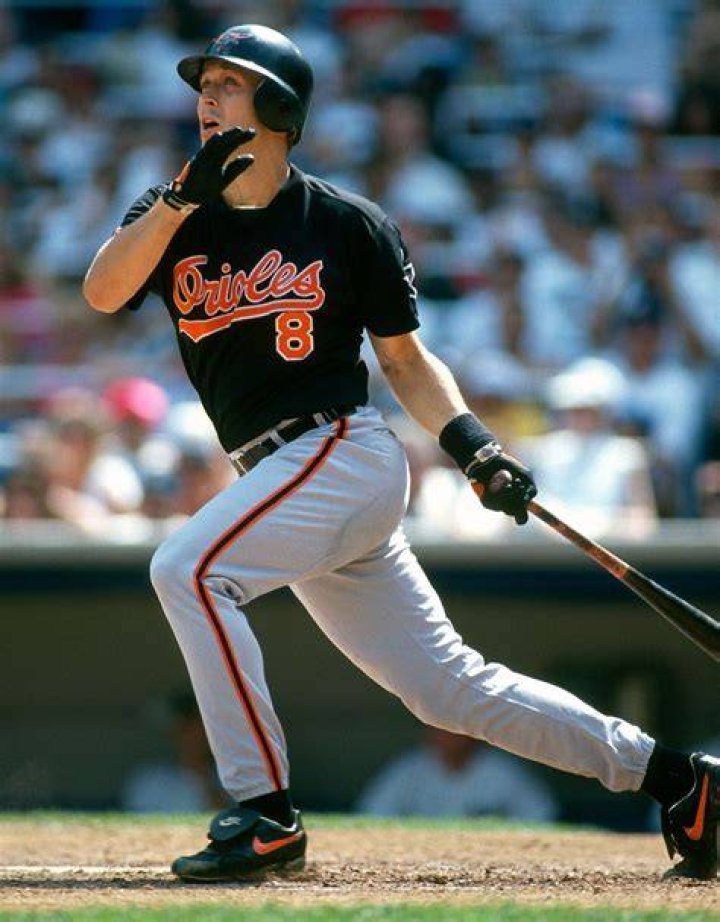 What bats can you use in Cal Ripken baseball?