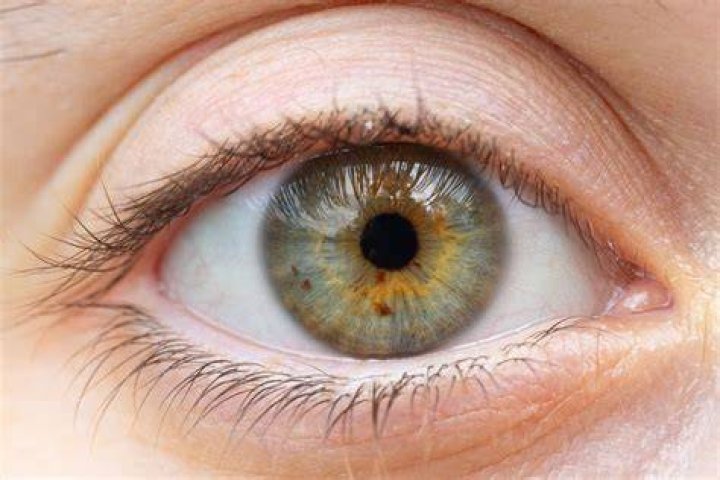 What can green eyes be compared to?