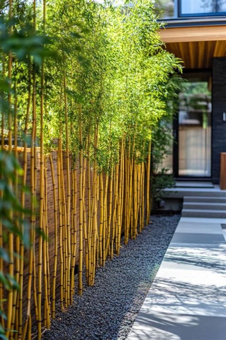 What can I use for a bamboo barrier?