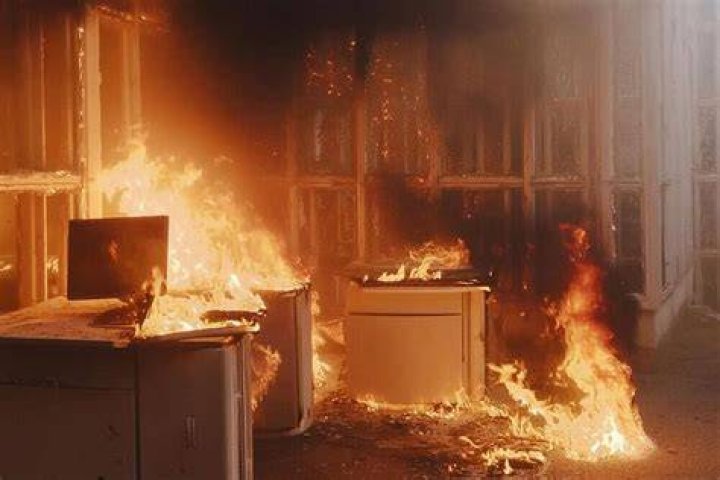 What can survive fire?