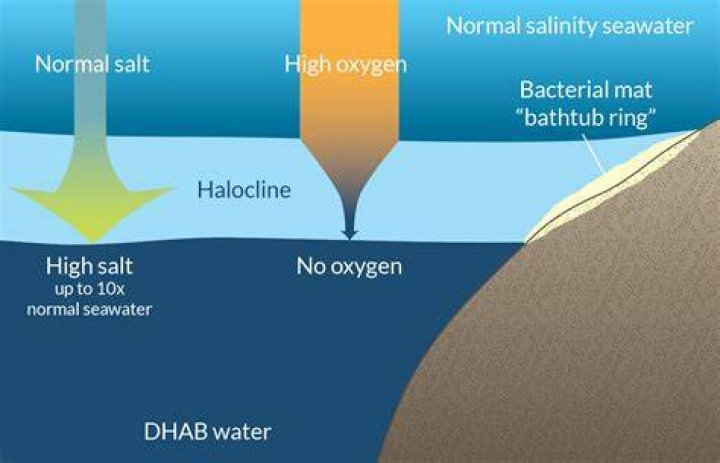 What causes a Halocline?