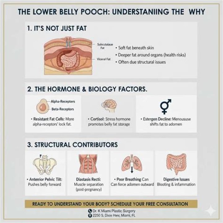 What causes a lower belly pooch?
