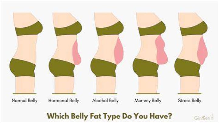 What causes more belly fat wine or vodka?