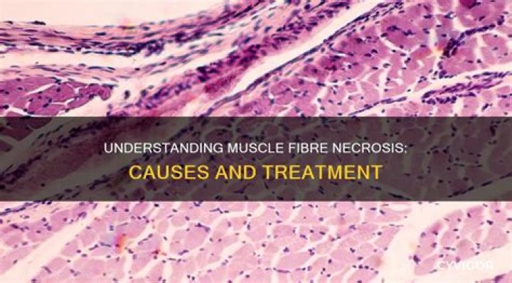 What causes necrosis in muscle?