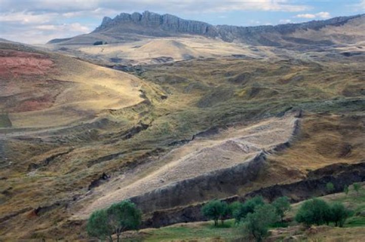 What city is the Ark located?