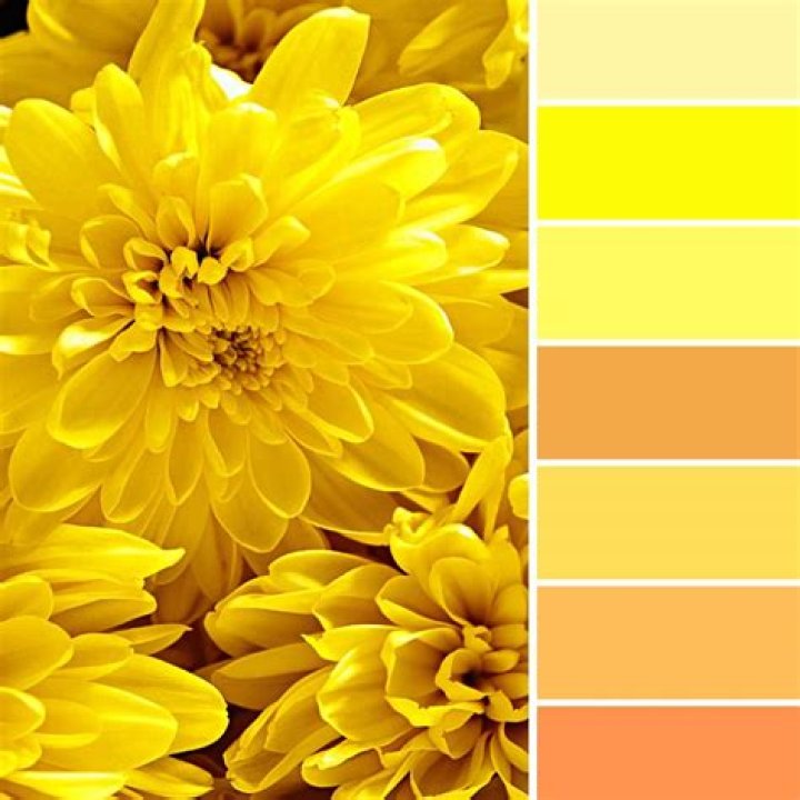 What color can you put over yellow hair?