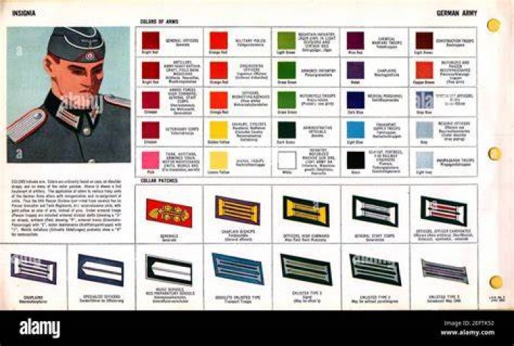 What color collar is military?