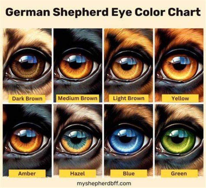 What color eyes do Geminis have?