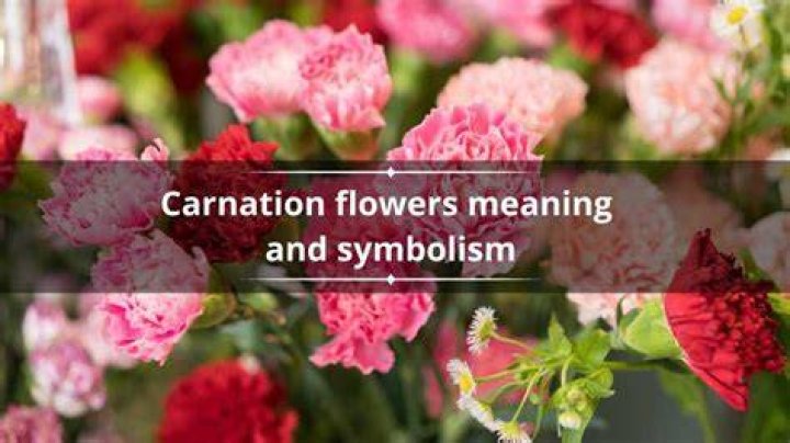 What color flower means I miss you?