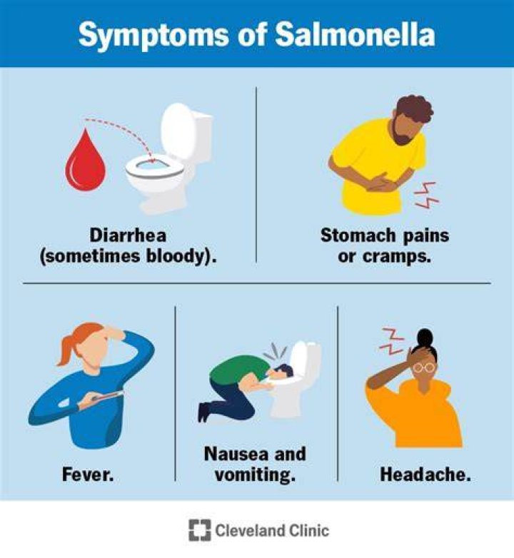 What color is poop with Salmonella?