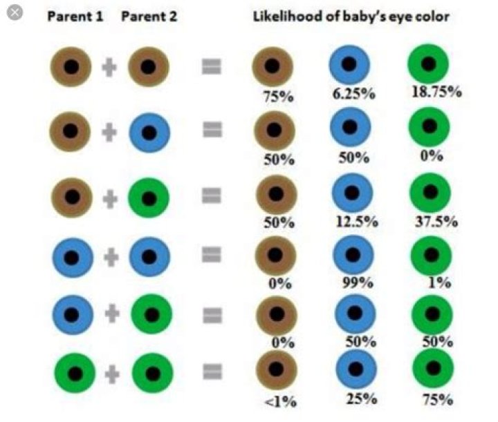 What color of eyes will my baby have?