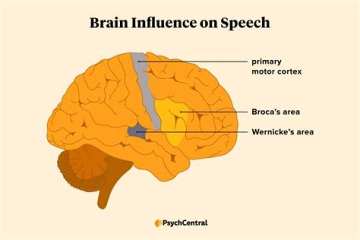 What controls putting stroke?