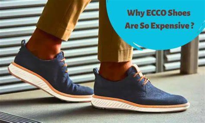What country are ECCO shoes made?