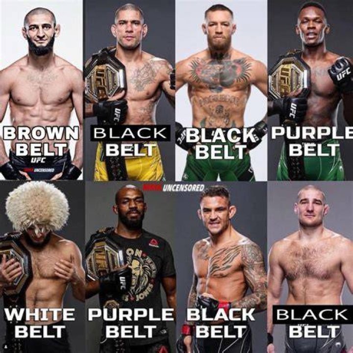 What country is best at UFC?