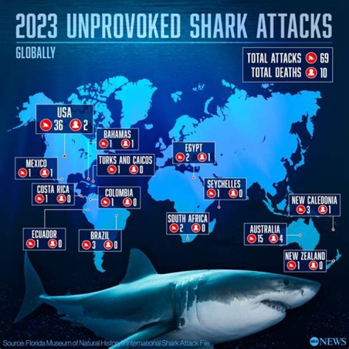 What country kills the most sharks?