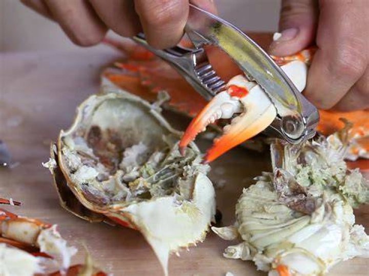 What crab Do you eat the shell?