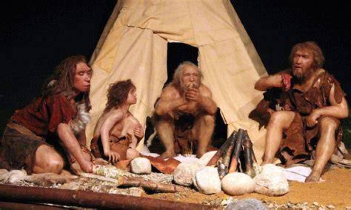 What did cavemen drink?