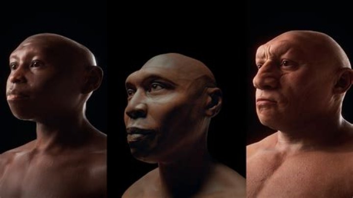 What did first humans look like?