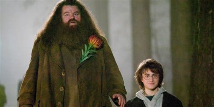What did Hagrid feed Norbert?