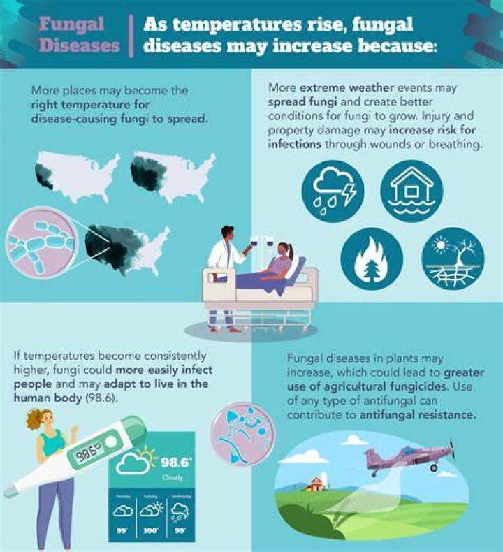 What diseases are caused by mold?
