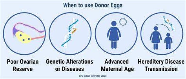 What disqualifies from donating eggs?