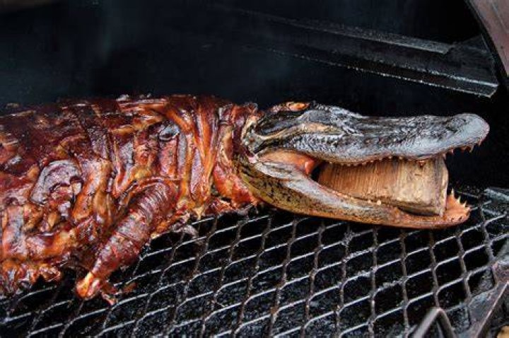 What do alligator bites taste like?