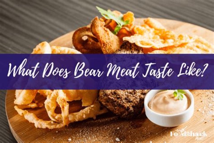 What do bear meat taste like?