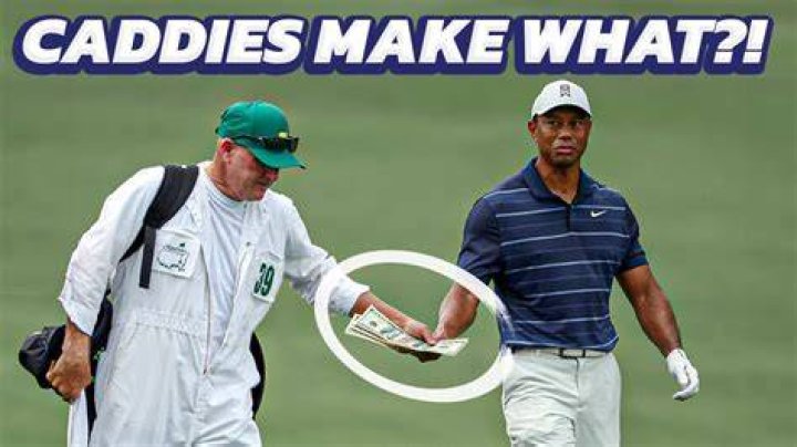 What do caddies do during the week?